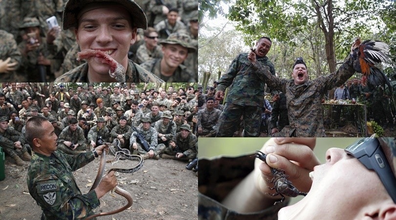 I marines mangiano serpenti, tarantole, scorpioni e gechi vivi: è il Cobra Gold 2020