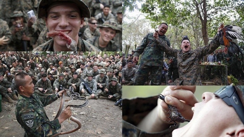 I marines mangiano serpenti, tarantole, scorpioni e gechi vivi: è il Cobra Gold 2020