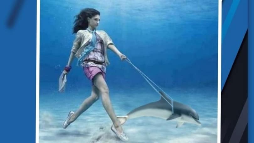 Coronavirus, il Pescara contro i furbi: "Restiamo a casa per davvero"
