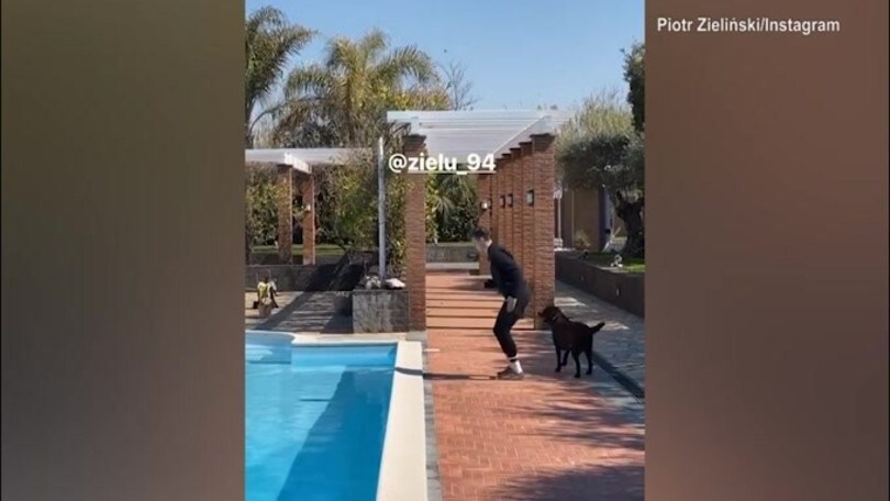 Napoli: allenamento con il cane per Zieli?ski