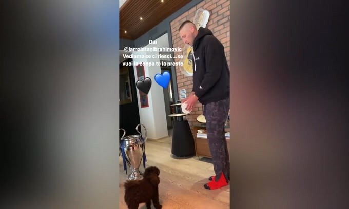 Materazzi prende in giro Ibra sulla Champions