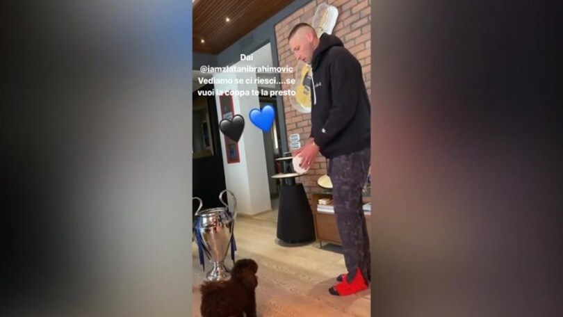 Materazzi prende in giro Ibra sulla Champions
