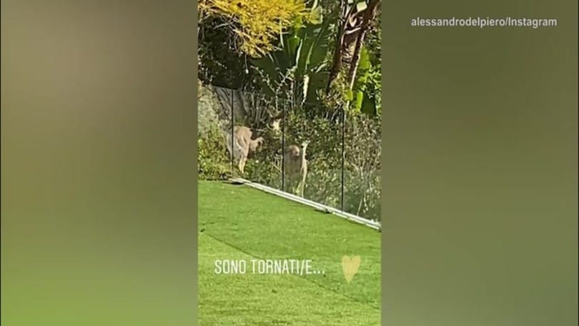 A casa Del Piero spuntano 2 amici visitatori