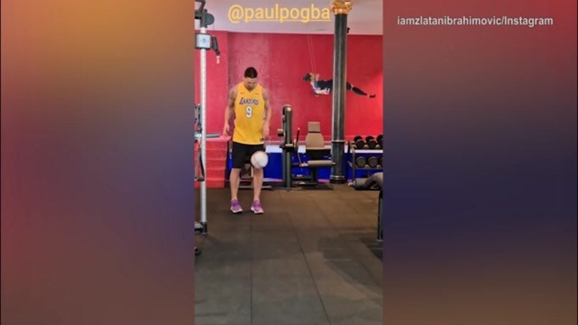 Calcio, Ibra risponde a Pogba: che tocco!