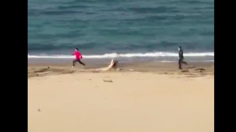 Coronavirus, a Pescara runner in spiaggia inseguito dal carabiniere