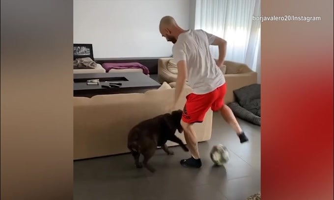 Inter, Borja Valero e il cane: che lotta in salotto!