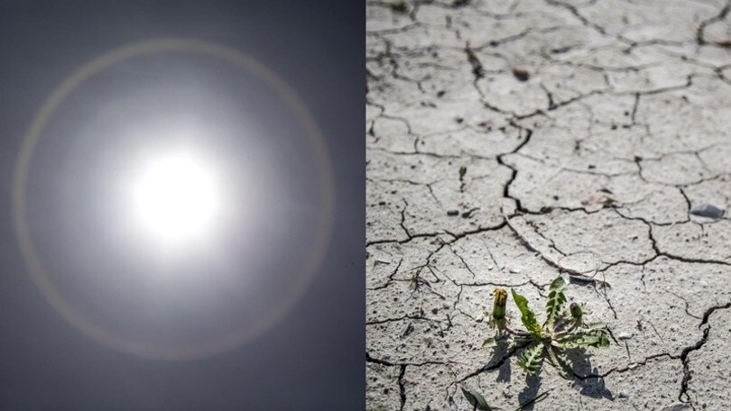La siccità sta preoccupando la Danimarca