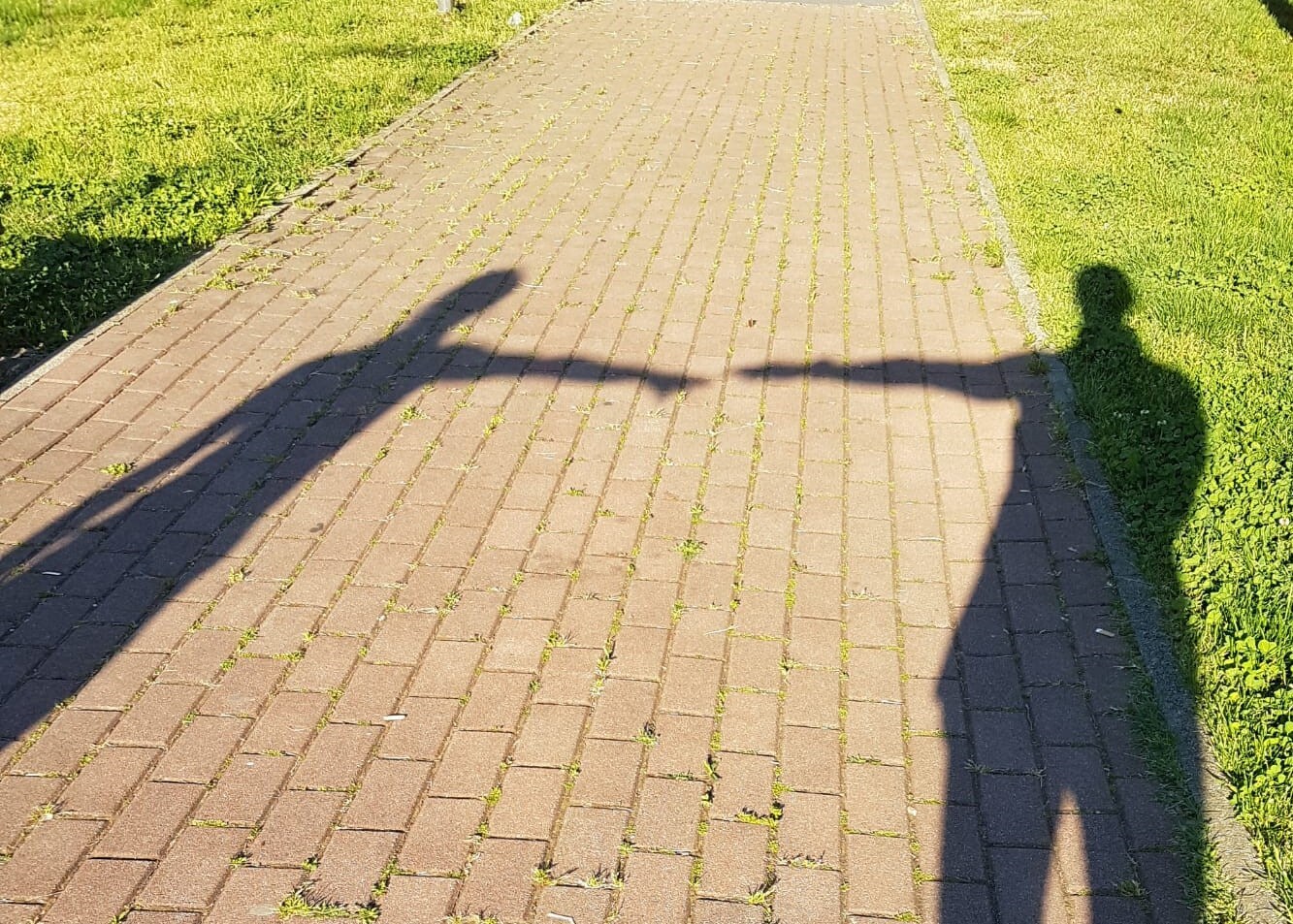 Allenati consapevolmente, segui queste dieci semplici regole