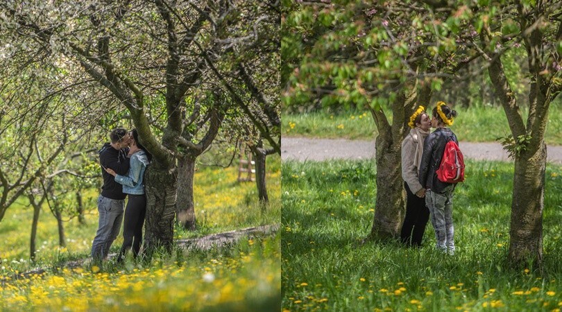 Coronavirus, "la Primavera di Praga 2.0": baci sotto gli alberi fioriti