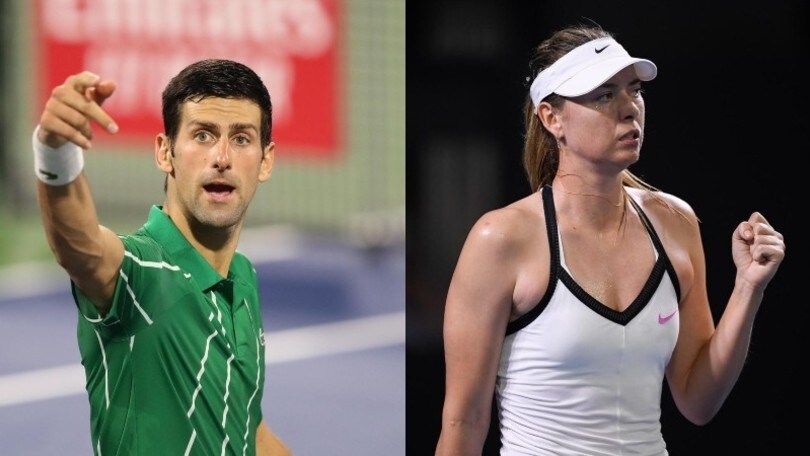 Djokovic racconta a Sharapova: "In Coppa Davis ero ubriaco..."