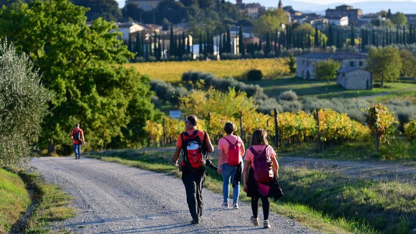 Il metodo che devi conoscere per correre da 0 a 60’