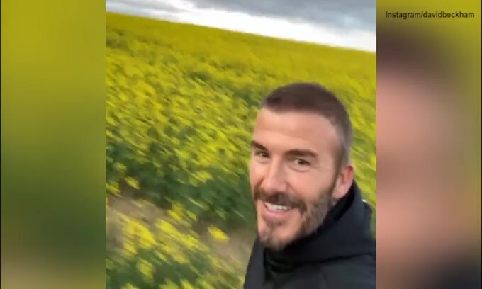 David Beckham e la corsa mattutina