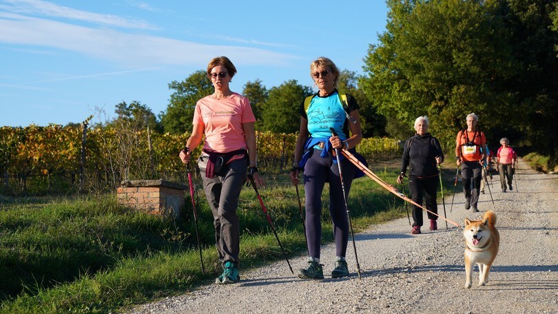 Camminare o correre, quando consumo più calorie?