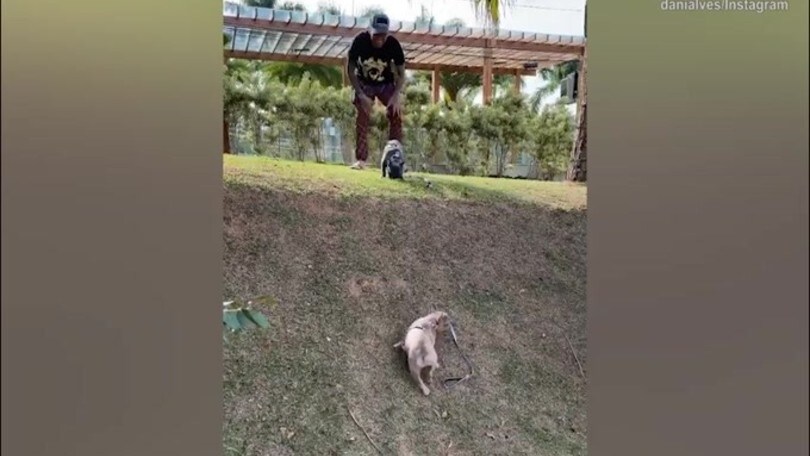 Dani Alves "stimola" il cane nell'impresa e...ci riesce!
