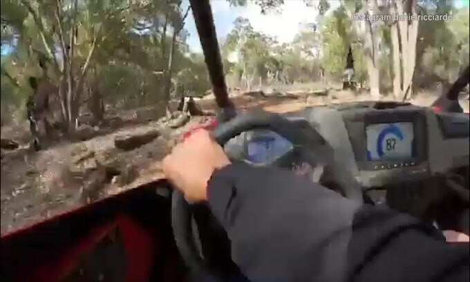 Daniel Ricciardo corre su strada