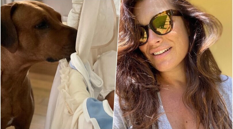 Alena Seredova attaccata sui social. La replica è furiosa: "Ma smettila!"