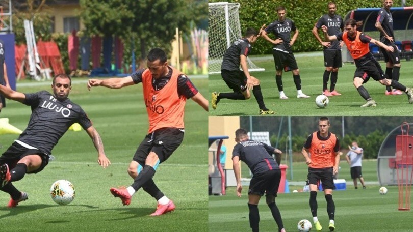 Il Bologna pensa alla Juve e Mihajlovic prova gli uno contro uno