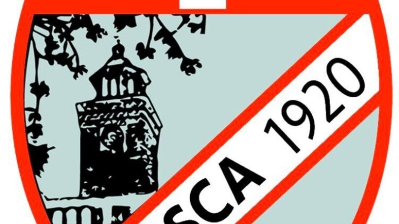 QUI BUSCA - Cuneesi scatenati sul mercato!