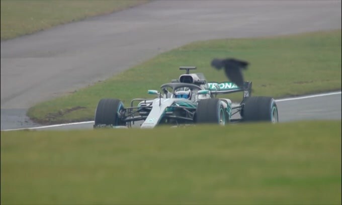 F1, Gp di Stiria: prima vittoria per Hamilton, disastro Ferrari