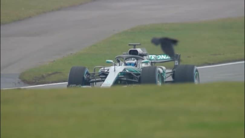 F1, Gp di Stiria: prima vittoria per Hamilton, disastro Ferrari