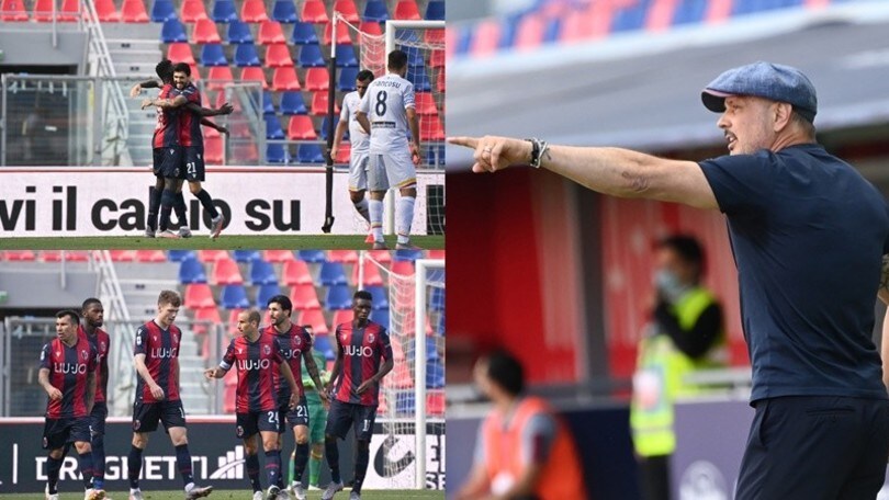 Palacio-Soriano-Barrow, Mihajlovic esulta per un Bologna da record