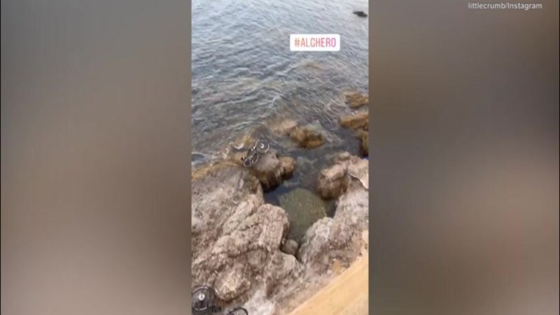 Vandali buttano in mare la bici di Elisabetta Canalis