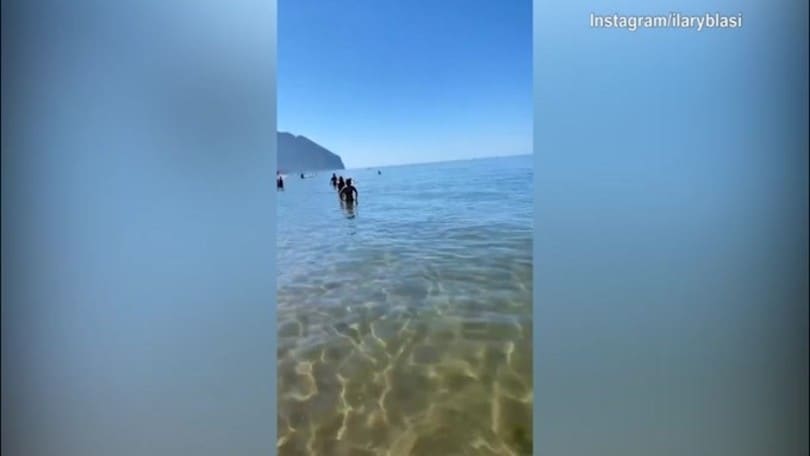 Ilary Blasi, relax tra mare ed animali