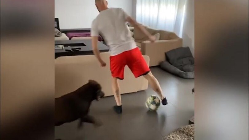 Mercato: il Verona punta Borja Valero