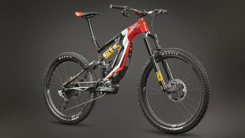 La vittoria delle e-bike a pedalata assistita: non sono ciclomotori
