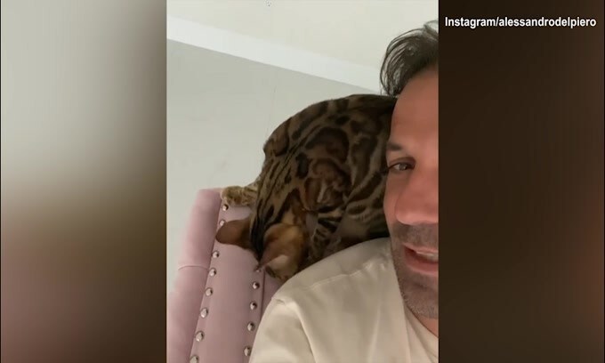 Del Piero chiede un bacio...al gatto!