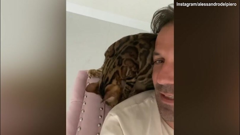 Del Piero chiede un bacio...al gatto!