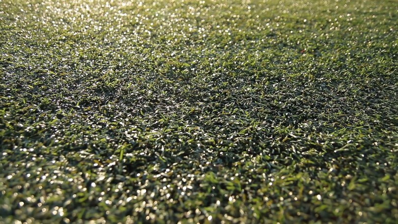 Bundesliga, a Monaco vietato l'ingresso allo stadio