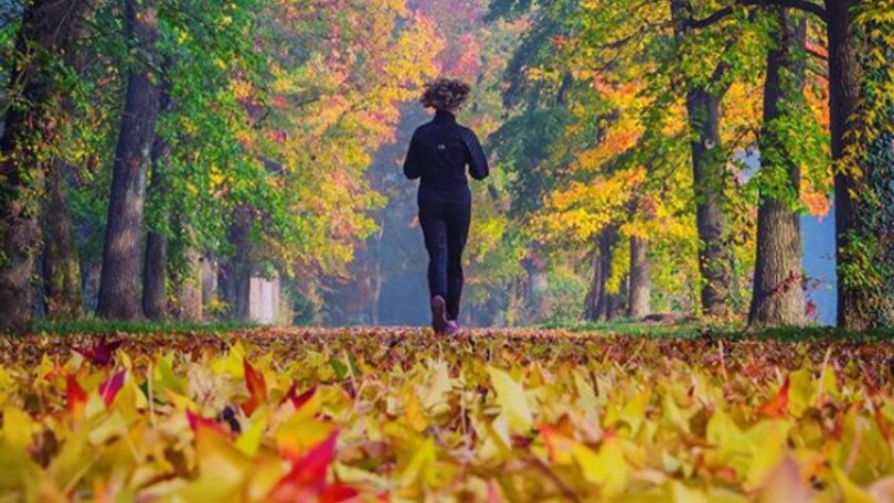 Monza Run Free, nasce oggi un nuovo modo di correre