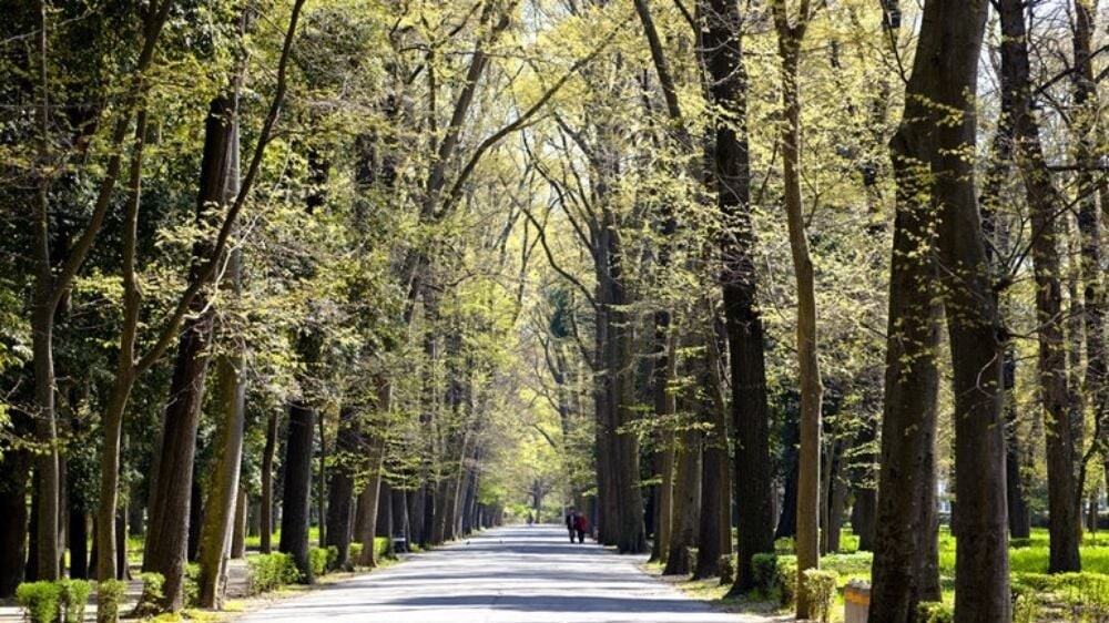 Nasce la Conad Green Half Marathon, il nuovo evento di Firenze Marathon