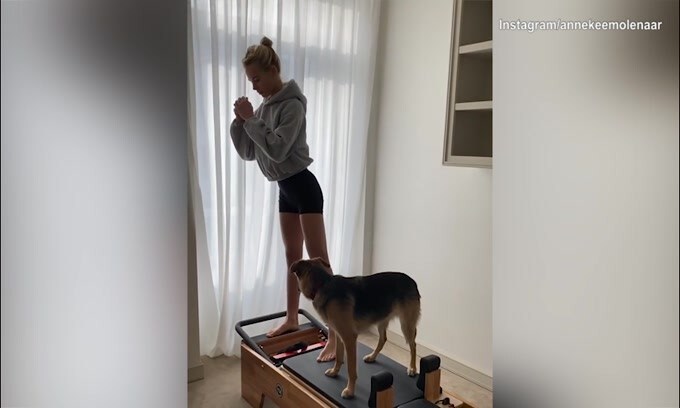 Annekee, lavoro a casa con...il cane!