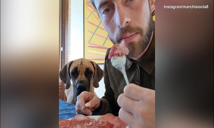 Marchisio mangia ma il cane...
