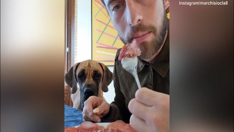 Marchisio mangia ma il cane...
