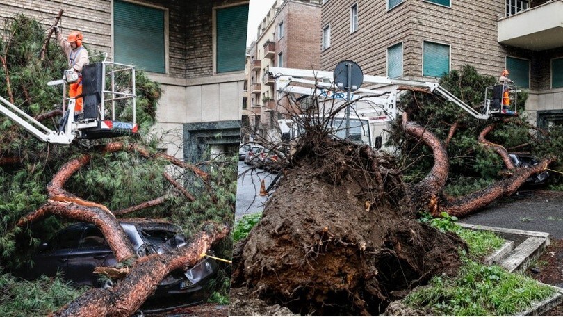 Roma colpita dal maltempo: cadono gli alberi