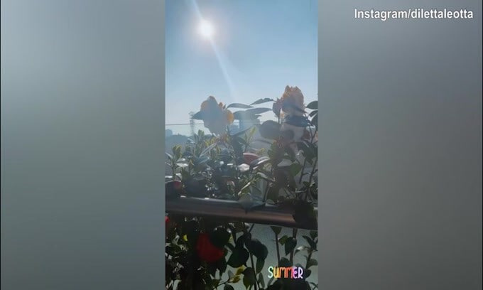 Sole e sorriso di Diletta Leotta, Milano è illuminata