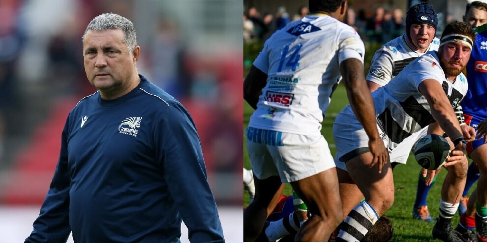 Zebre, Bradley è il "coach of the season" nel Pro14