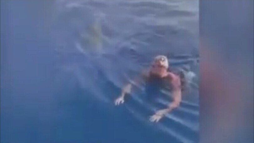 Si fa il bagno in mare e all’improvviso spunta uno squalo