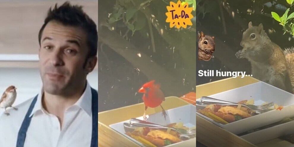Del Piero, su Instagram torna l'uccellino: e non è solo...