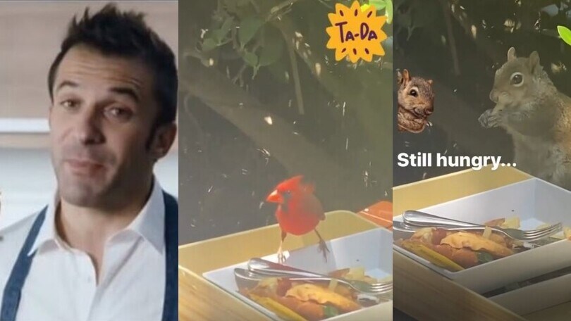 Del Piero, su Instagram torna l'uccellino: e non è solo...