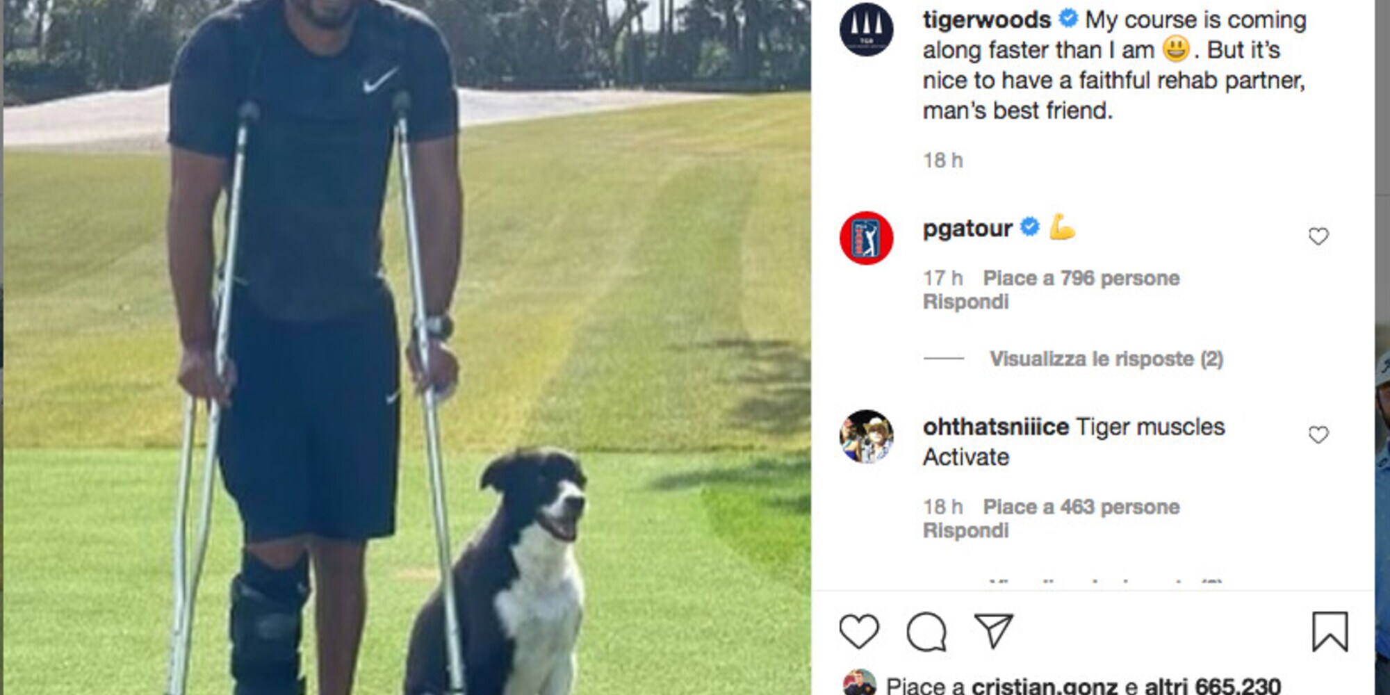 Tiger Woods, la prima foto dopo l'incidente. Con il cane...