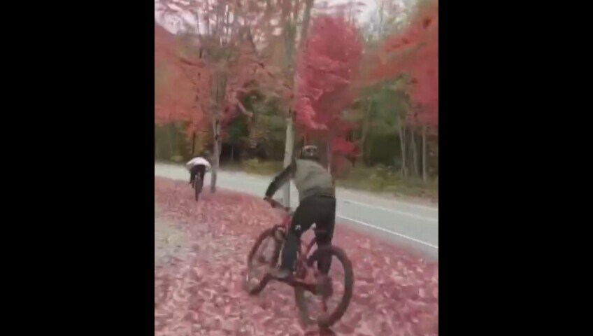 Il dribbling tra gli alberi finisce malissimo per il ciclista