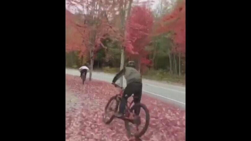 Il dribbling tra gli alberi finisce malissimo per il ciclista
