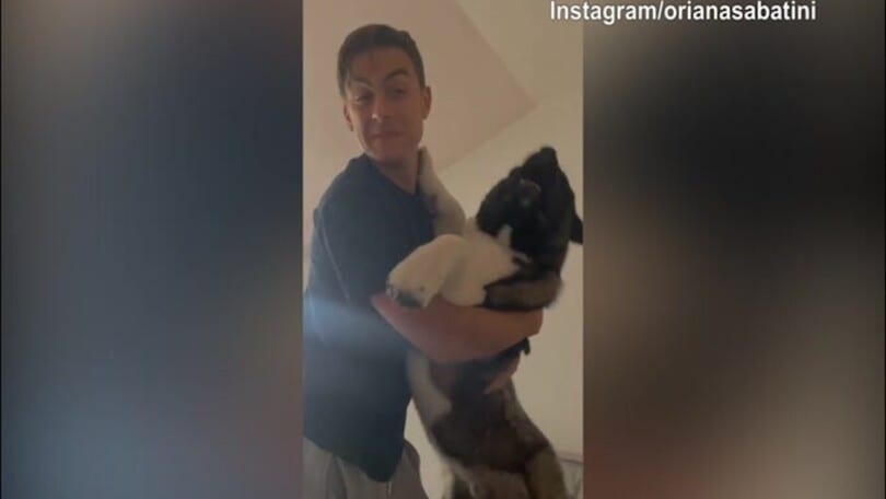 Dybala, quanto affetto per i suoi cani