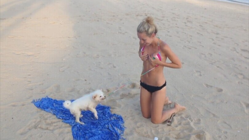 Il cagnolino in spiaggia sfilaccia tutto il costume della padroncina