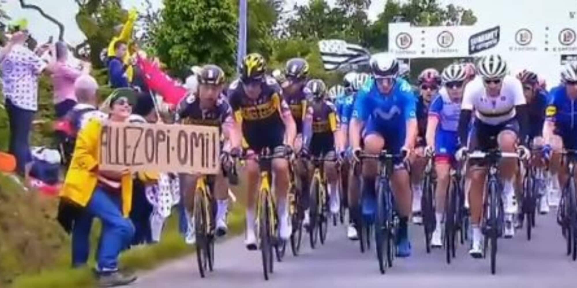 Tour de France 2021, spettatrice causa una maxi caduta