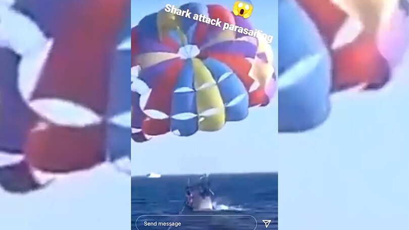 Mar Rosso, lo squalo gigante morde il piede di un uomo: il video è terrificante